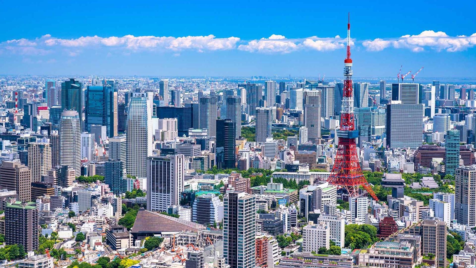 Japan for First Timers