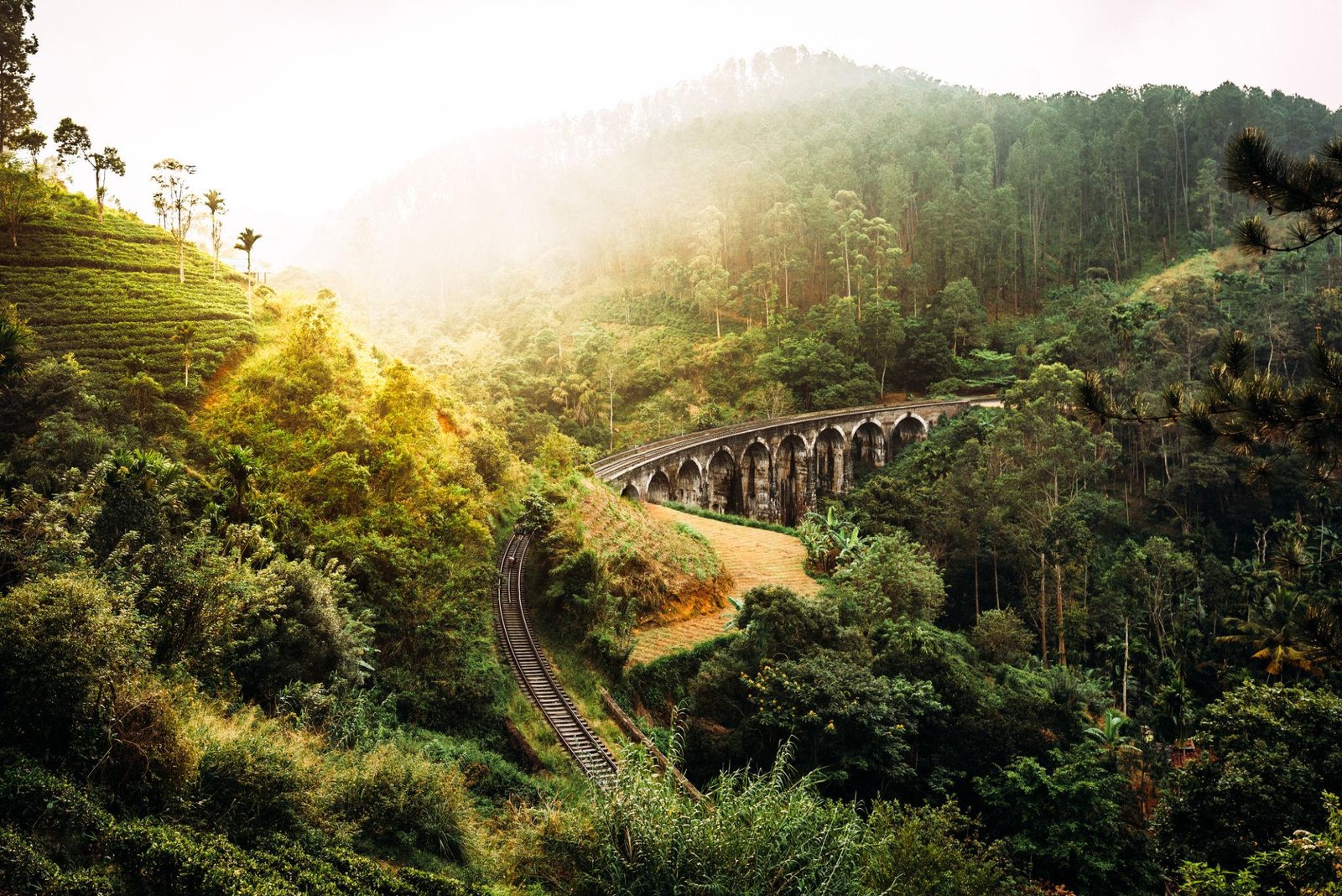 Sri Lanka Culture Hills Coastline